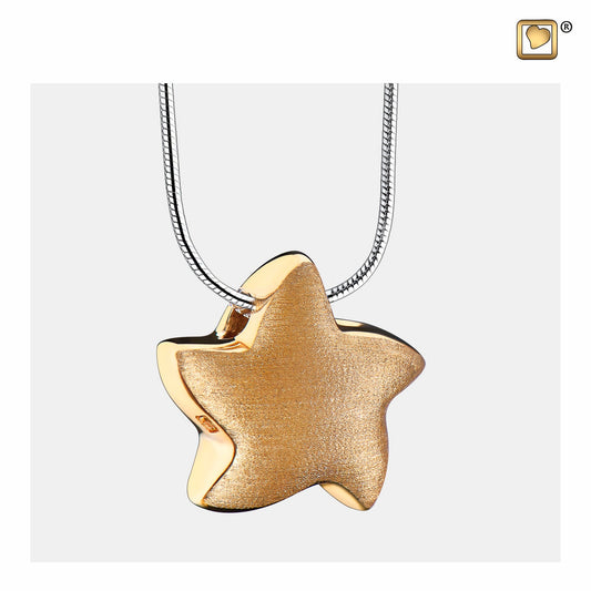 Pendant: Angelic Star - Gold Vermeil Two Tone - PD1031